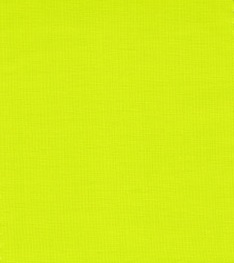 Lime Punch colore Pantone 2018